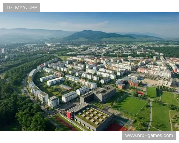 奥地利与德国联手推动欧洲能源转型新举措